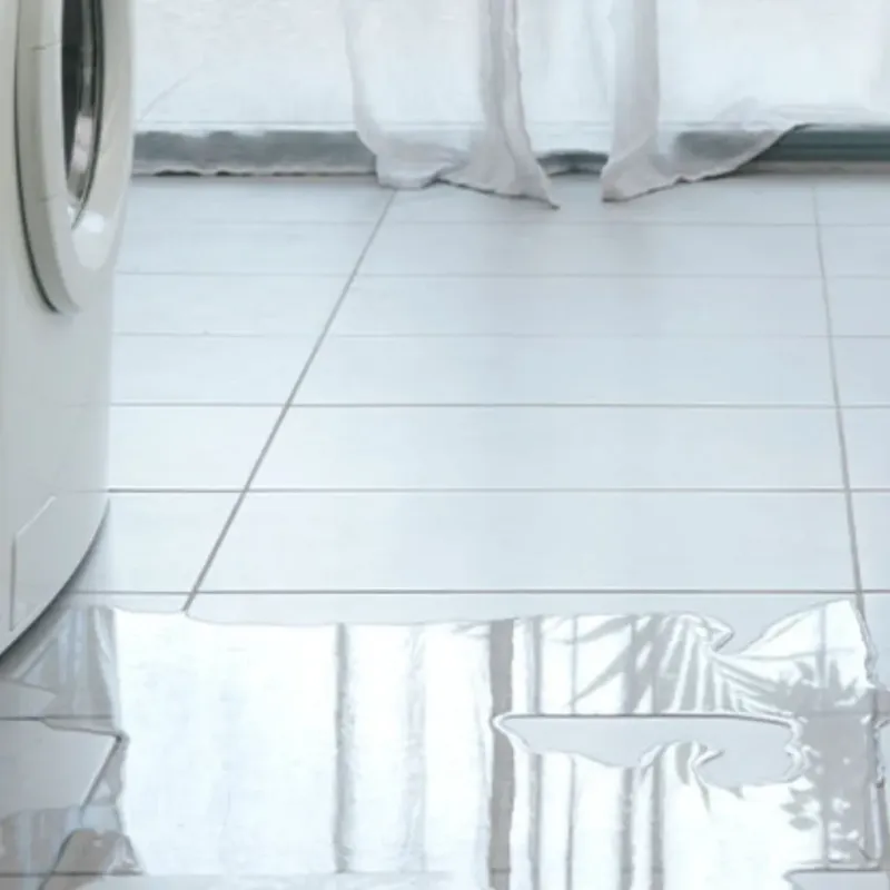 Appliance Leak Cleanup in Benbrook, TX