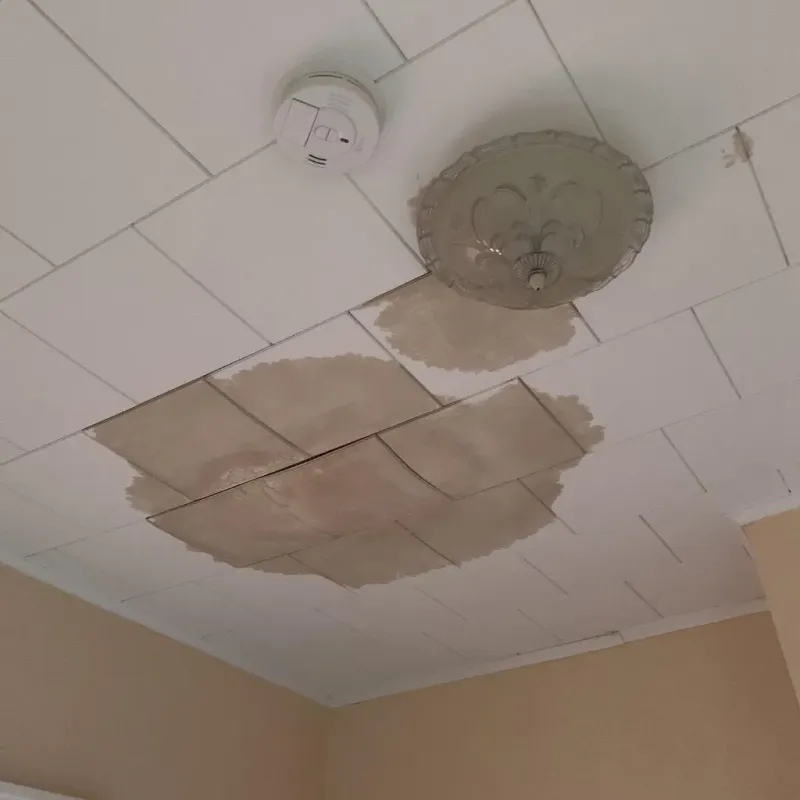 Ceiling Water Damage Repair in Benbrook, TX