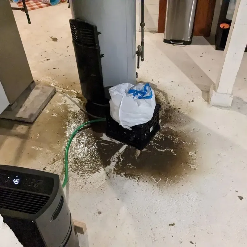 Sewage Backup Cleanup Service in Benbrook, TX